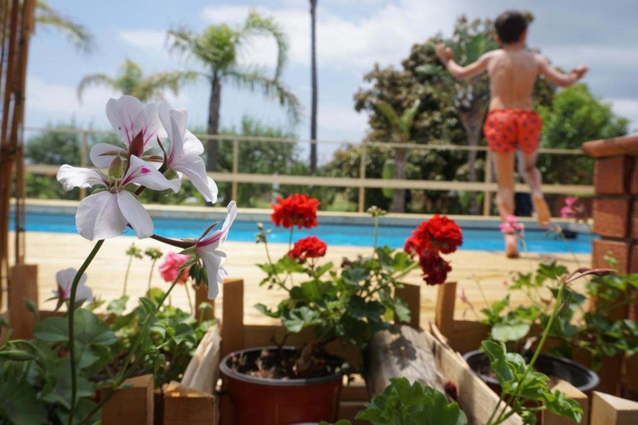 أتشيريالي Villa Carolea المظهر الخارجي الصورة