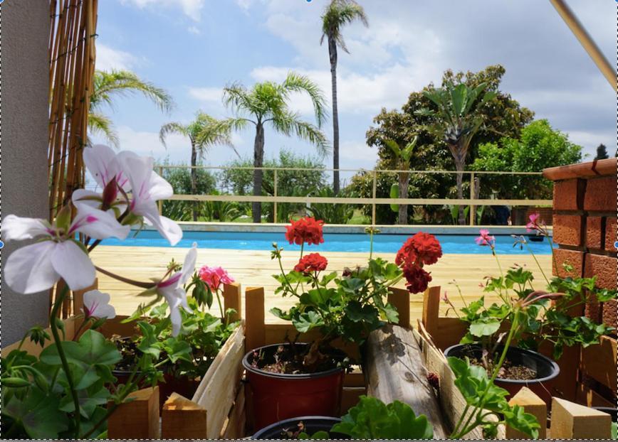 أتشيريالي Villa Carolea المظهر الخارجي الصورة